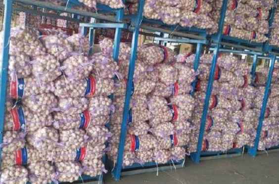 搭建一個儲存大蒜的冷庫造價多少錢 搭建一個儲存大蒜的冷庫造價多少錢