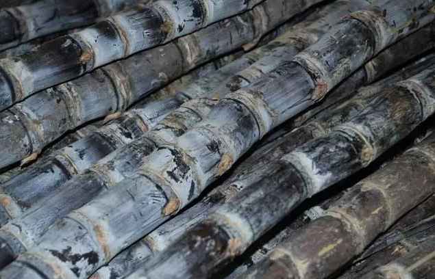 建造甘蔗保鮮冷庫(kù)價(jià)格多少錢 建造甘蔗保鮮冷庫(kù)價(jià)格多少錢